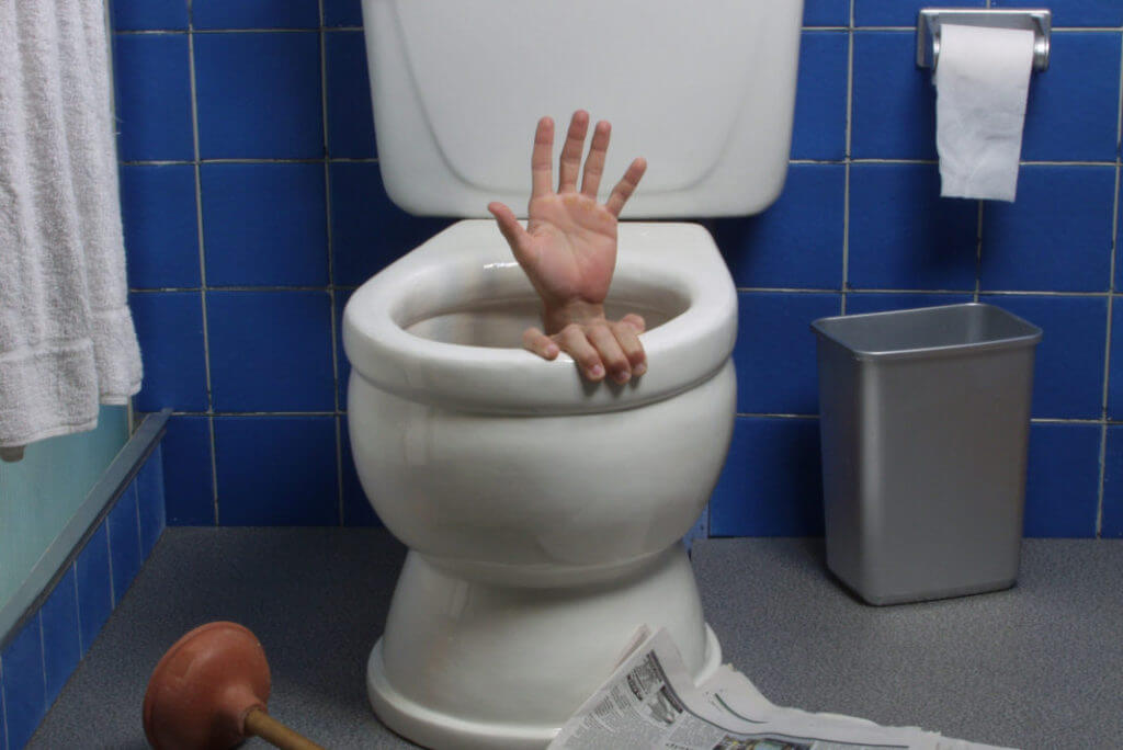 Hands coming out of toilet